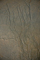 Seaside sand texture pattern