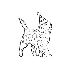 A cockapoo puppy wearing a party hat and strolling to the right. A line drawn hand drawn illustration vectorised for a variety of uses. 