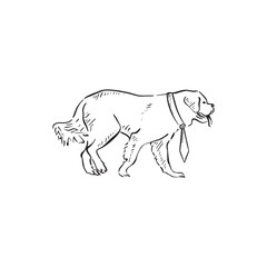 A walking Saint Bernard dog wearing a tie. Side profile dog in black and white sketch doodle style. Hand drawn.