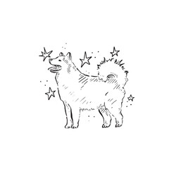 A line drawn Samoyed dog posing side profile with stars surrounding it. Drawn by hand in a sketchy style in black and white vector. 