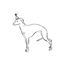 A line drawn whippet puppy dog drawn in black, vectorised and shaded. The whippet is wearing a party hat with a star on the top.