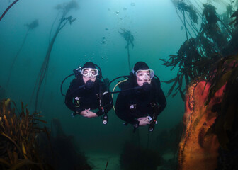 Two female scuba divers underwater swimming together in the kelp forest