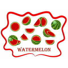 watermelon, drawn vector illustration. a set of juicy red fruits in whole and in pieces of different types. isolated on a white background