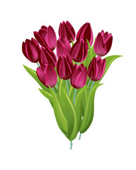 Summer spring flower tulips bouquet isolated on white background. A cute gift with flowers for a holiday, wedding, or a loved one. Design element for greeting card, invitation, poster, print.