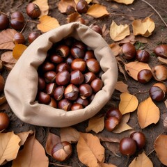 Chestnuts gathered from the forest