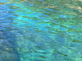 Ocean water blue turquoise clear surface