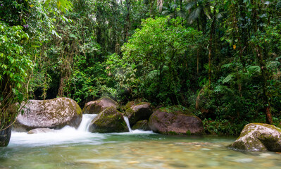 Fototapeta premium waterfall in the forest