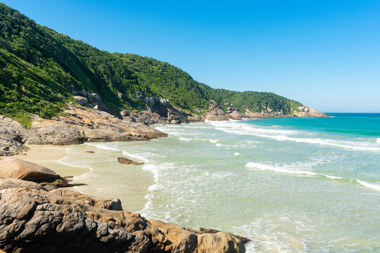 tropical beach in the summer