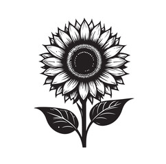 Sunflowers Silhouette vector illustration © MSTMIM