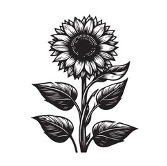 Sunflowers Silhouette vector illustration