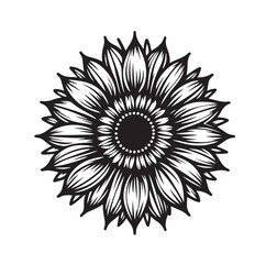 Sunflowers Silhouette vector illustration