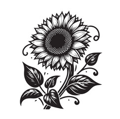 Sunflowers Silhouette vector illustration