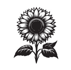 Sunflowers Silhouette vector illustration