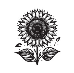 Sunflowers Silhouette vector illustration
