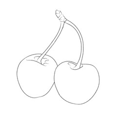Fruit illustration of sweet red cherries or (prunus avium) coloring outline illustration on transparent background