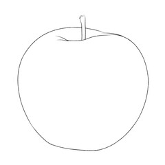 Fruit illustration red apple or (Malus domestica Borkh) coloring outline illustration on transparent background