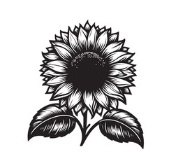 Sunflowers Silhouette vector illustration