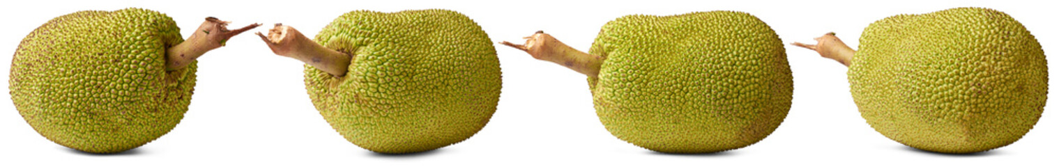 jackfruits, large tropical fruits isolated white background, meat substitute for vegetarians and vegans in different angles © Shamil