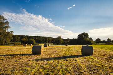 Heuballen - Heu - Stroh - field - harvest - summer - straw - farmland - blue cloudy sky - golden -...