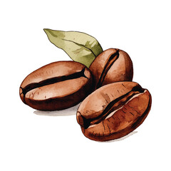 coffee beans on white background