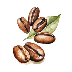 watercolor coffee beans isolated on white