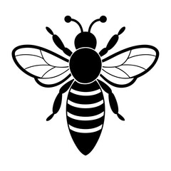 Bee Vector illustration