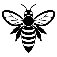 Bee Vector illustration