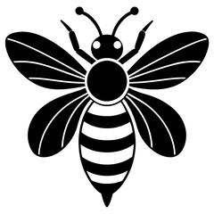 Bee Vector illustration
