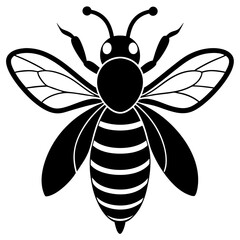 Bee Vector illustration