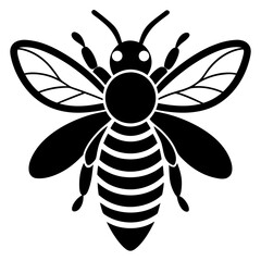 Bee Vector illustration