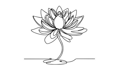 lotus plant one line illustration