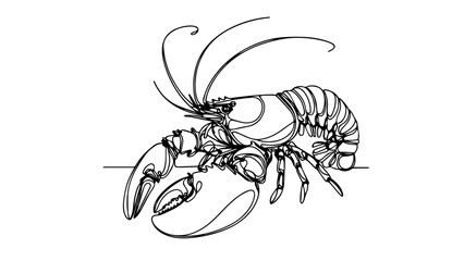 Lobster single line illustration
