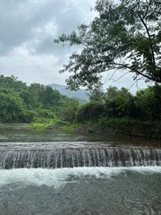 waterfall in the forest