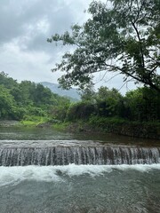 waterfall in the forest