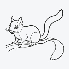 Stunning Flying Squirrel Line Art Vector - Detailed and Elegant Wildlife Illustration