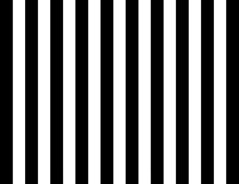 Fototapeta Stripe pattern lines light black white color background.  