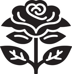 Beautiful rose varieties