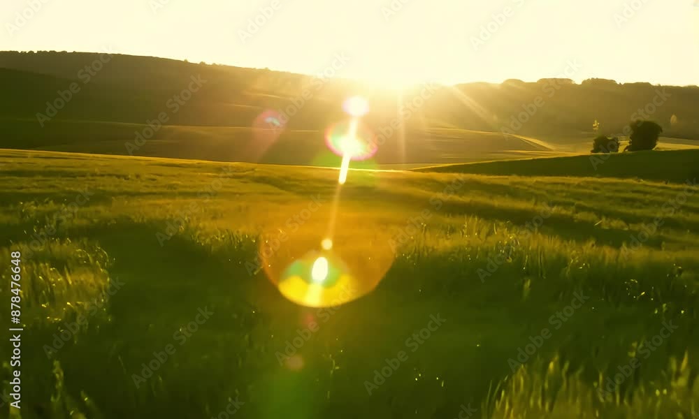 Poster sunrise in the field