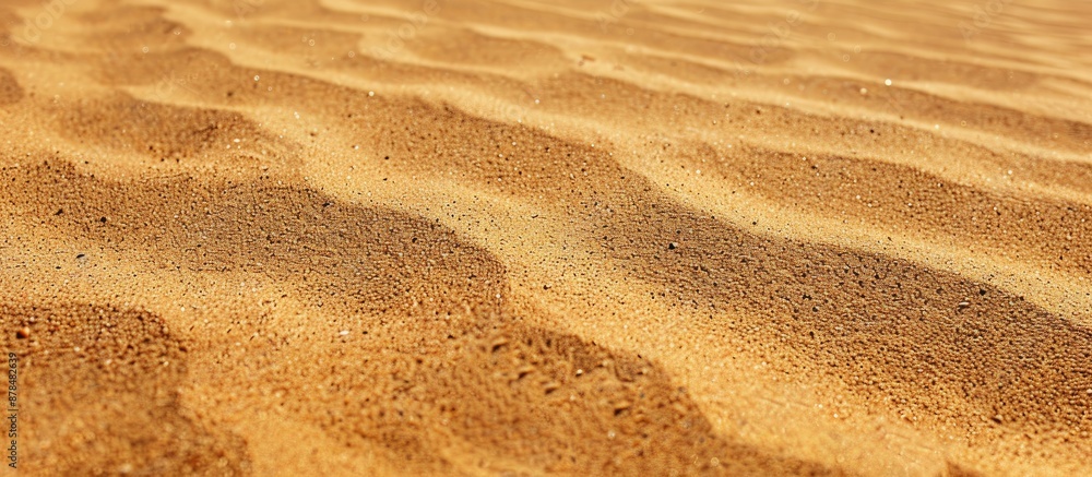 Poster brown sand texture providing a seamless background with fine sand, suitable for a copy space image.