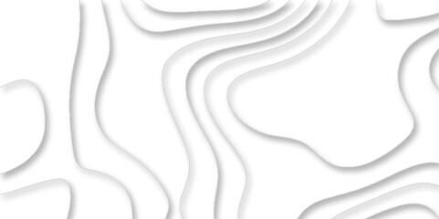 vector illustration 3d papercut wave line geometric curved white background, Topographic map of geology and contour map, papercut and multi layer cutout geometric white abstract pattern background.