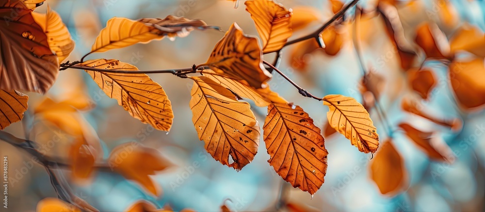 Aufkleber autumn-themed background with close-up dried leaves on a tree branch, providing a serene and natural