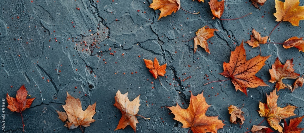 Aufkleber fall foliage on the pavement with copy space image.