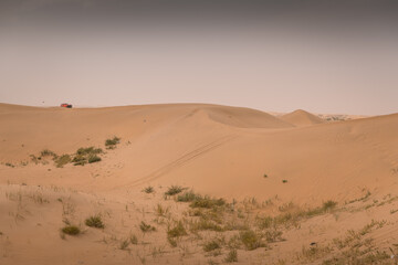 Badain Jaran Desert in Inner Mongolia, China, the third largest desert