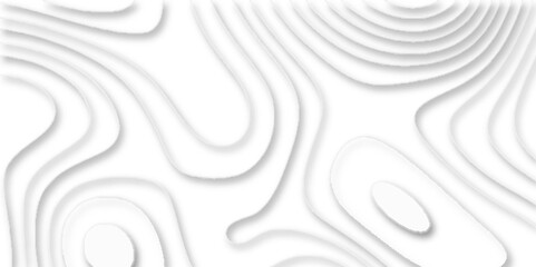 papercut and multi layer cutout geometric white abstract pattern background, vector illustration 3d papercut wave line geometric curved white background, Topographic map of geology and contour map.