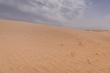 Badain Jaran Desert, largest desert in China, located in Inner Mongolia, China