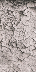 Background Dry Cracked Soil Dirt Or Earth During Drought. Dry Cracked Earth Depicting Severe Drought Conditions