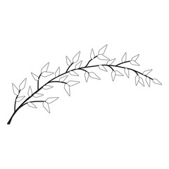 Hand drawn branches. Ink illustration.Vector Simple icon. Eps 10. 