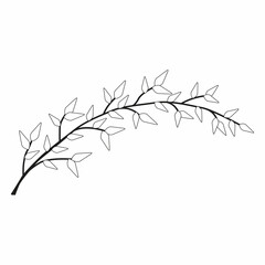 Hand drawn branches. Ink illustration.Vector Simple icon. Eps 10. 