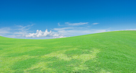 Green grass field under the blue sky background