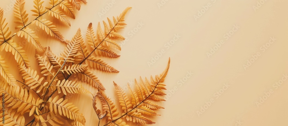 Poster Beige background adorned with top-view yellow autumn fern leaves, creating a flatlay composition with ample copy space image.
